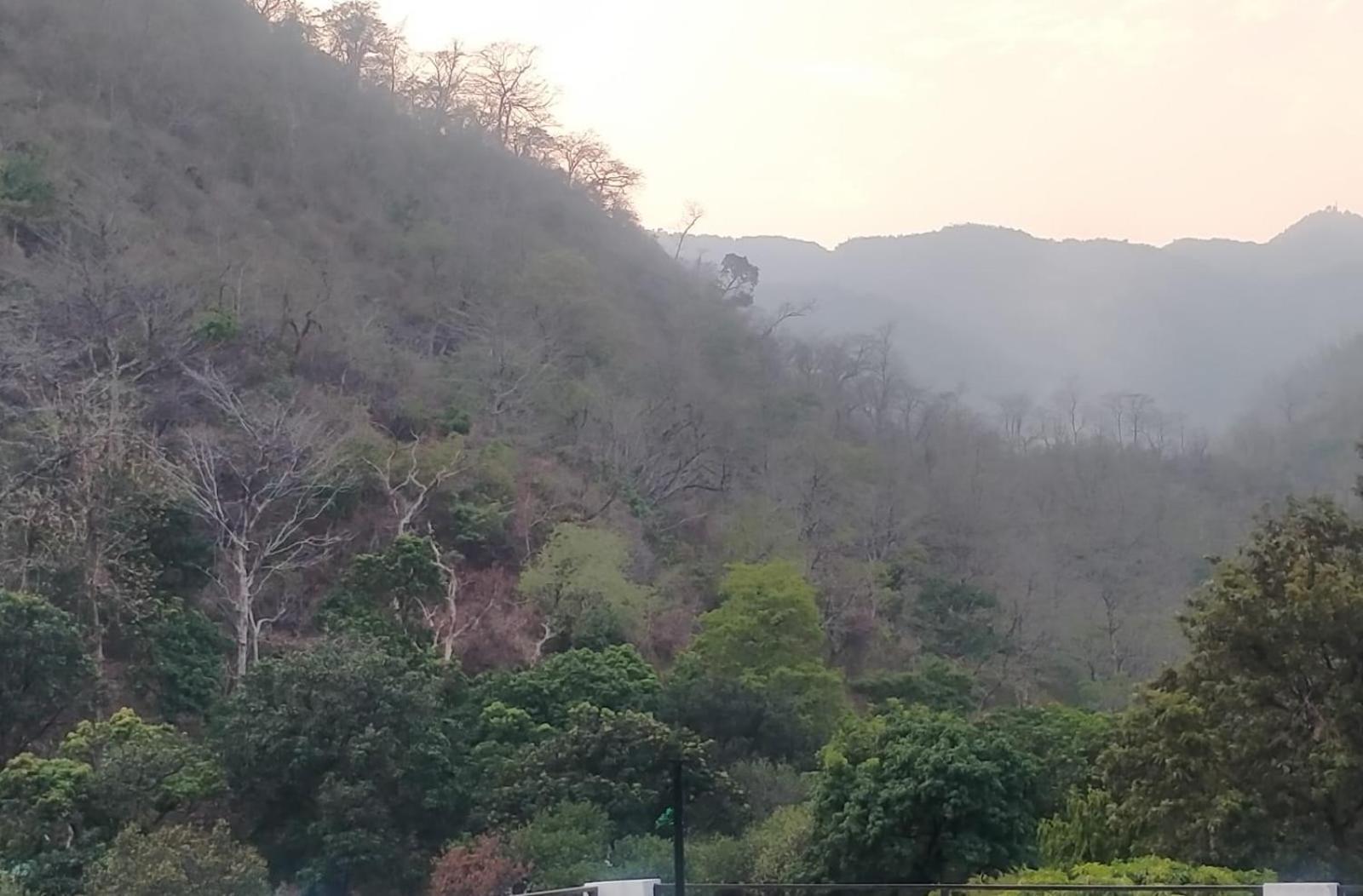 רישיקש Mount Valley Mama Cottage מראה חיצוני תמונה