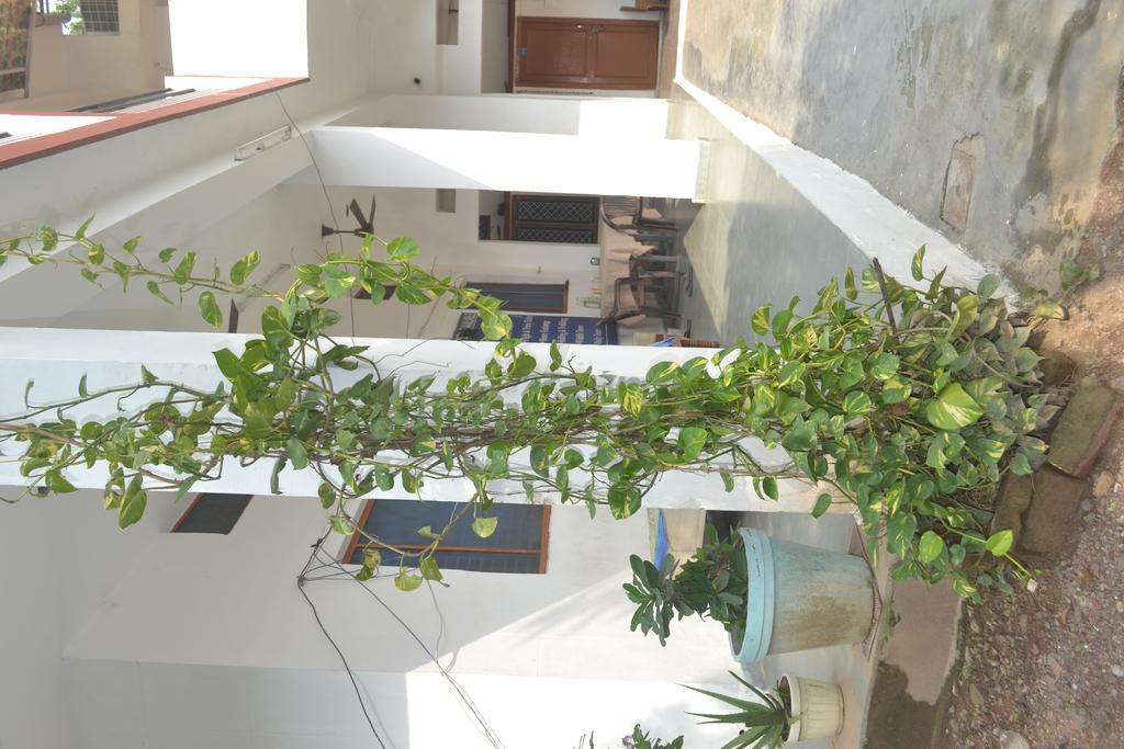 רישיקש Mount Valley Mama Cottage מראה חיצוני תמונה